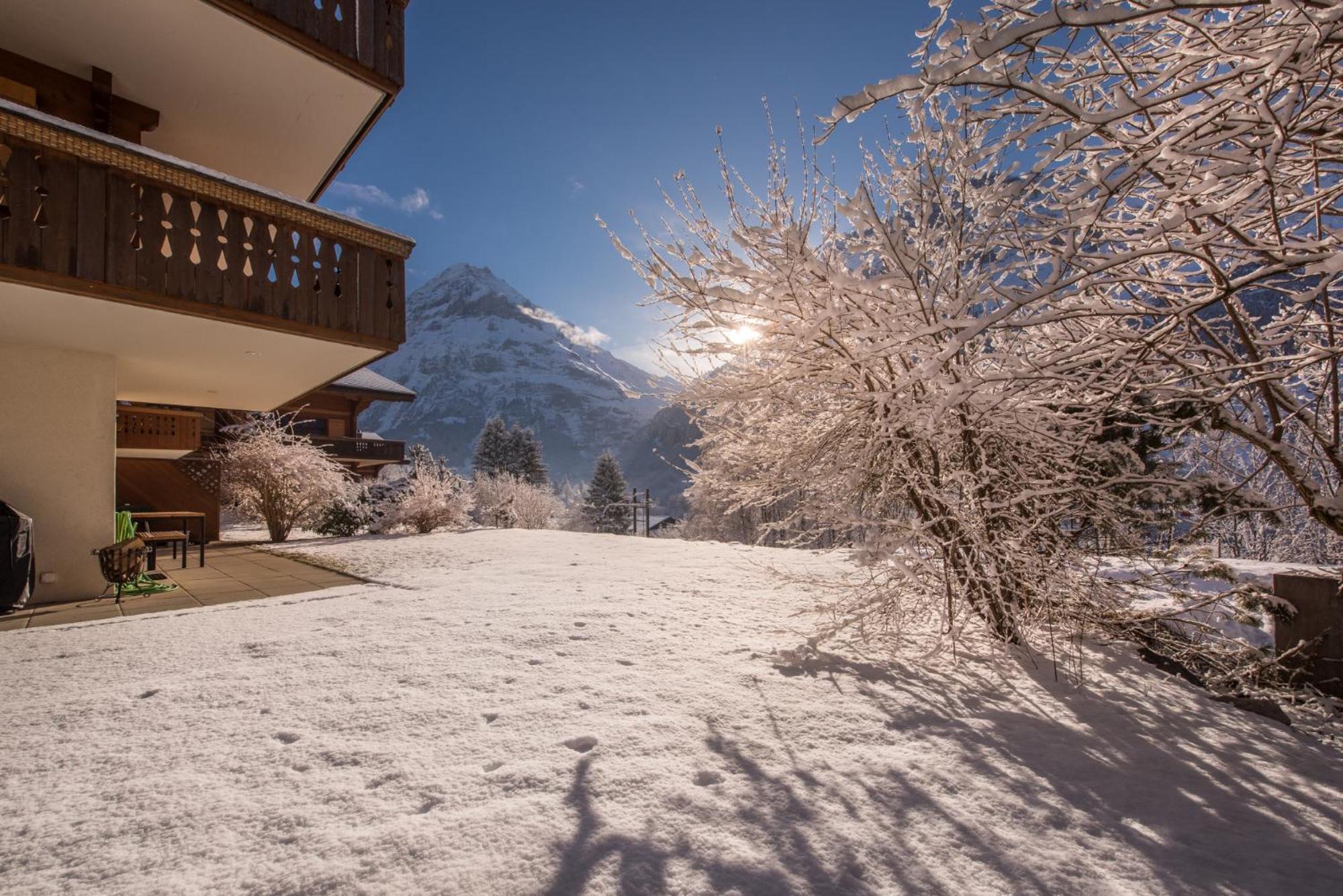 Billabong Apartment Grindelwald Exterior foto