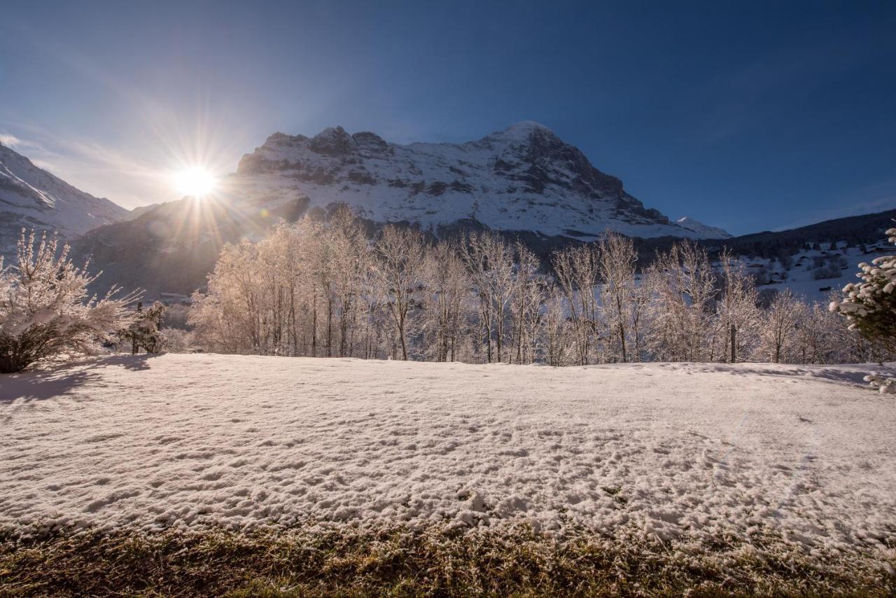 Billabong Apartment Grindelwald Exterior foto